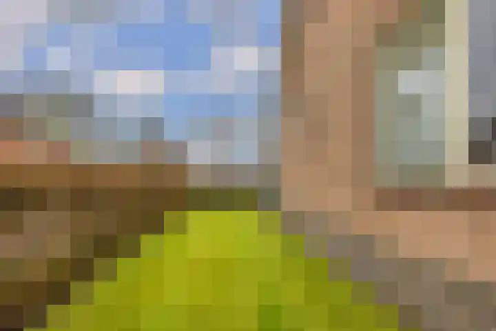 Provincialeweg 39 Sebaldeburen thumbnail 43