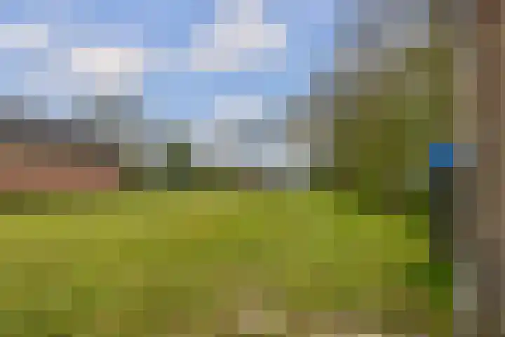Provincialeweg 39 Sebaldeburen thumbnail 44