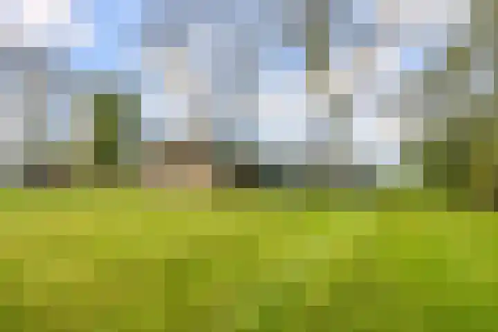 Provincialeweg 39 Sebaldeburen thumbnail 45