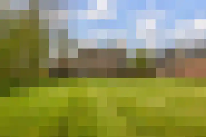 Provincialeweg 39 Sebaldeburen thumbnail 46