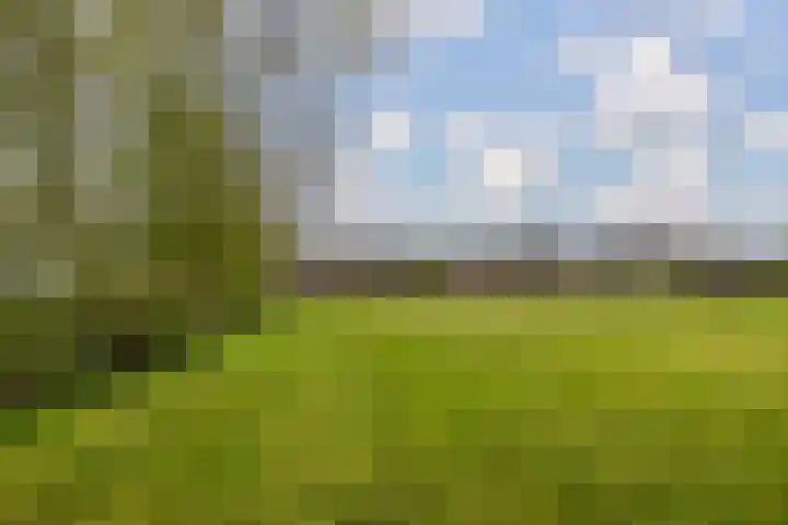Provincialeweg 39 Sebaldeburen thumbnail 47