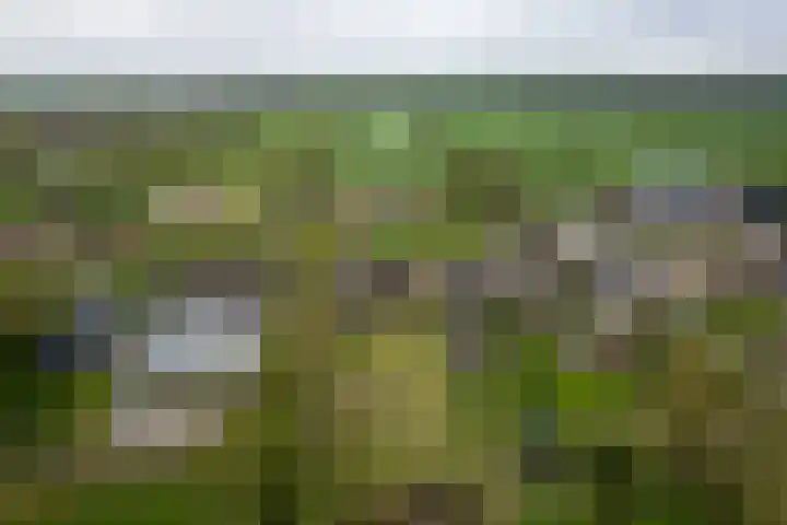 Provincialeweg 39 Sebaldeburen thumbnail 48