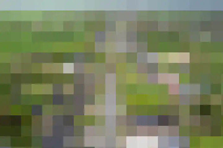 Provincialeweg 39 Sebaldeburen thumbnail 51