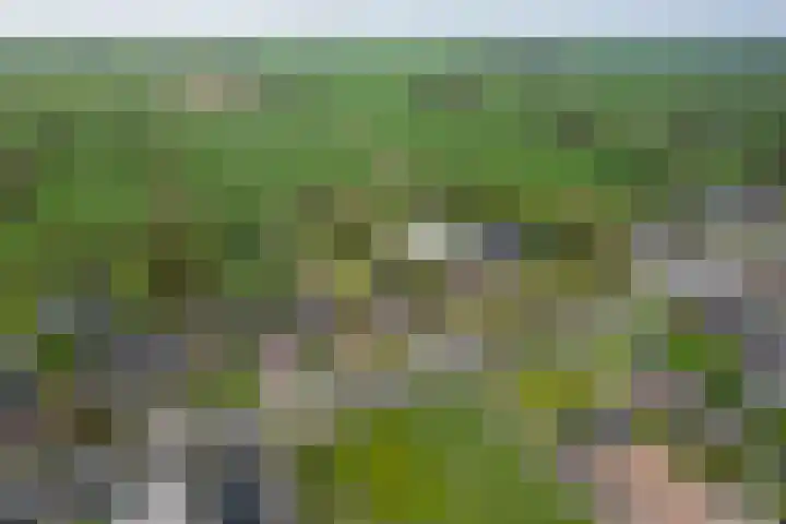 Provincialeweg 39 Sebaldeburen thumbnail 52