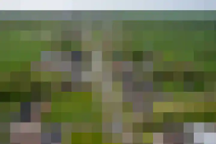 Provincialeweg 39 Sebaldeburen thumbnail 53