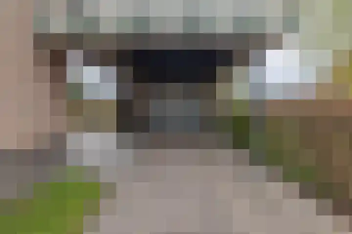Provincialeweg 39 Sebaldeburen thumbnail 54