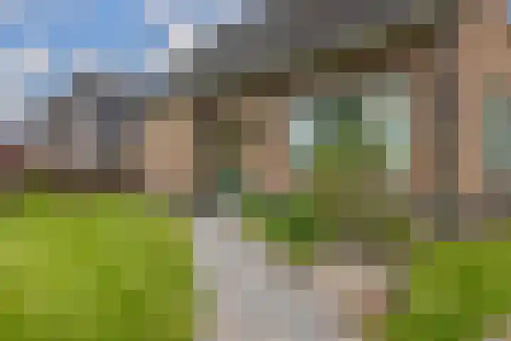 Provincialeweg 39 Sebaldeburen thumbnail 6
