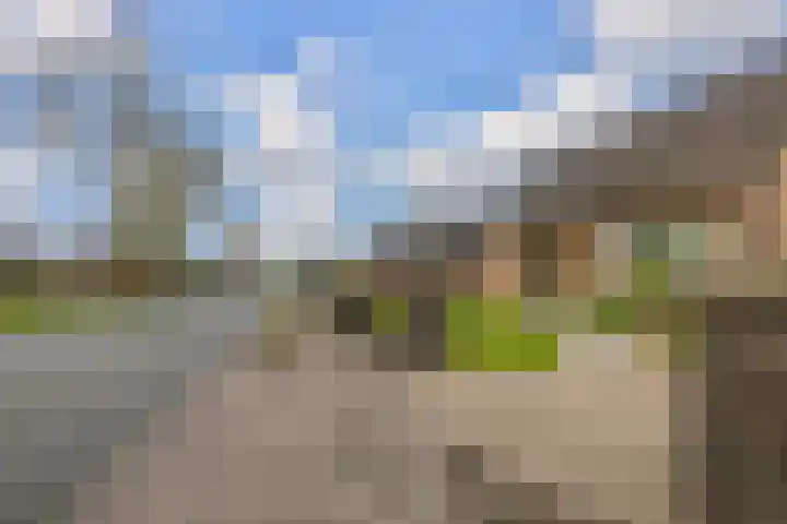 Provincialeweg 39 Sebaldeburen thumbnail 7