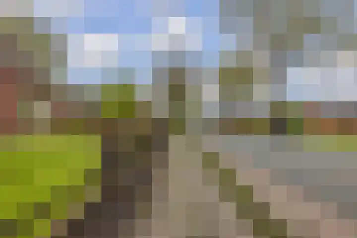 Provincialeweg 39 Sebaldeburen thumbnail 8