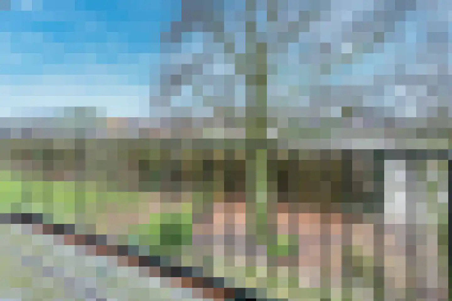 Provincialeweg 42 a Schalkwijk thumbnail 36