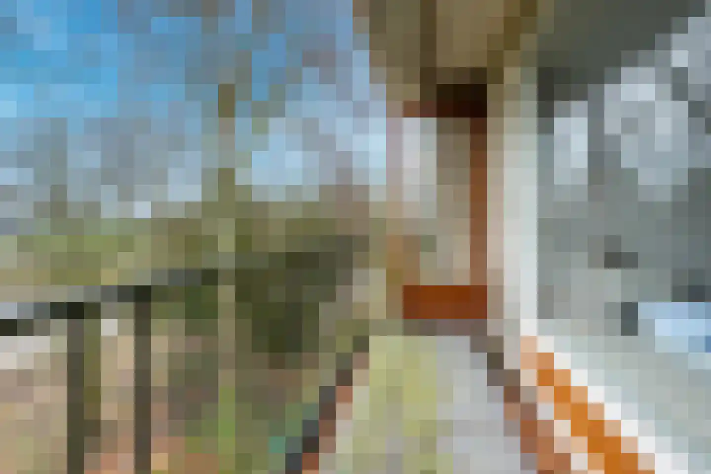 Provincialeweg 42 a Schalkwijk thumbnail 37