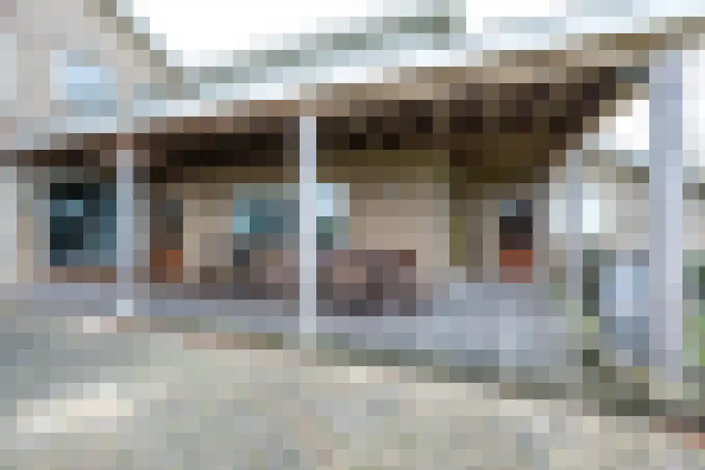 Provincialeweg 42 a Schalkwijk thumbnail 4