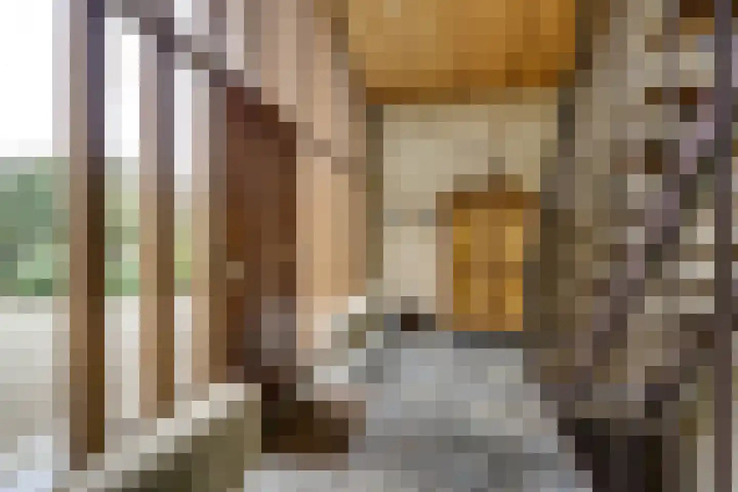 Provincialeweg 42 a Schalkwijk thumbnail 6