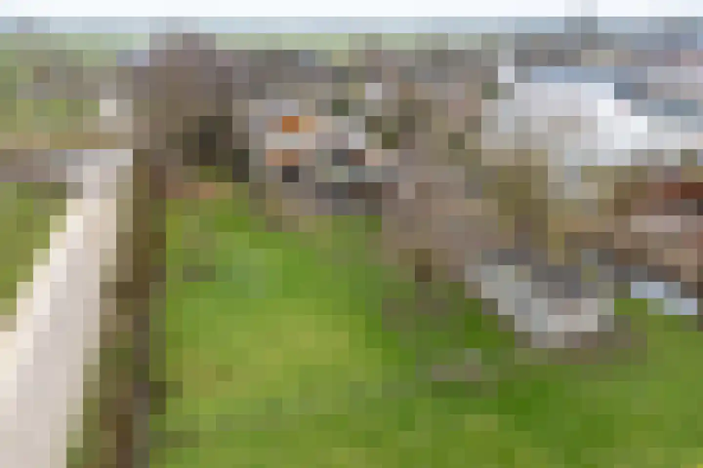 Provincialeweg 42 a Schalkwijk thumbnail 69