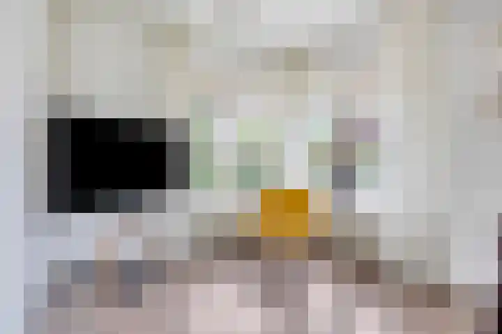 Provincialeweg 44 Heiligerlee thumbnail 18