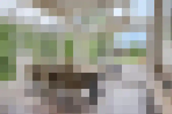 Provincialeweg 44 Heiligerlee thumbnail 22