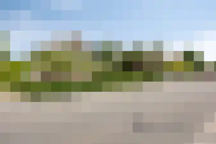 Provincialeweg 44 Heiligerlee thumbnail 8