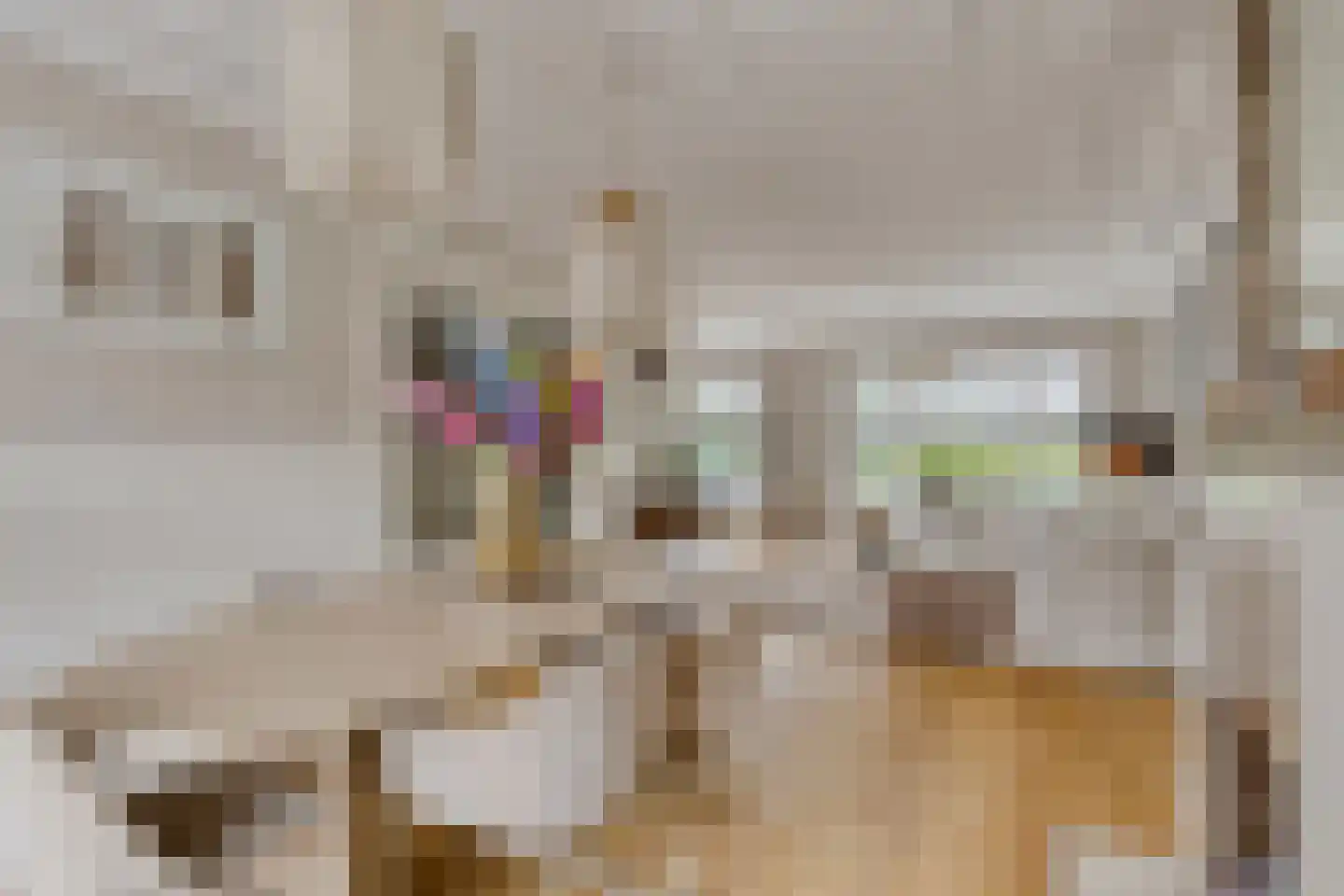 Provincialeweg 44 Krommenie thumbnail 12
