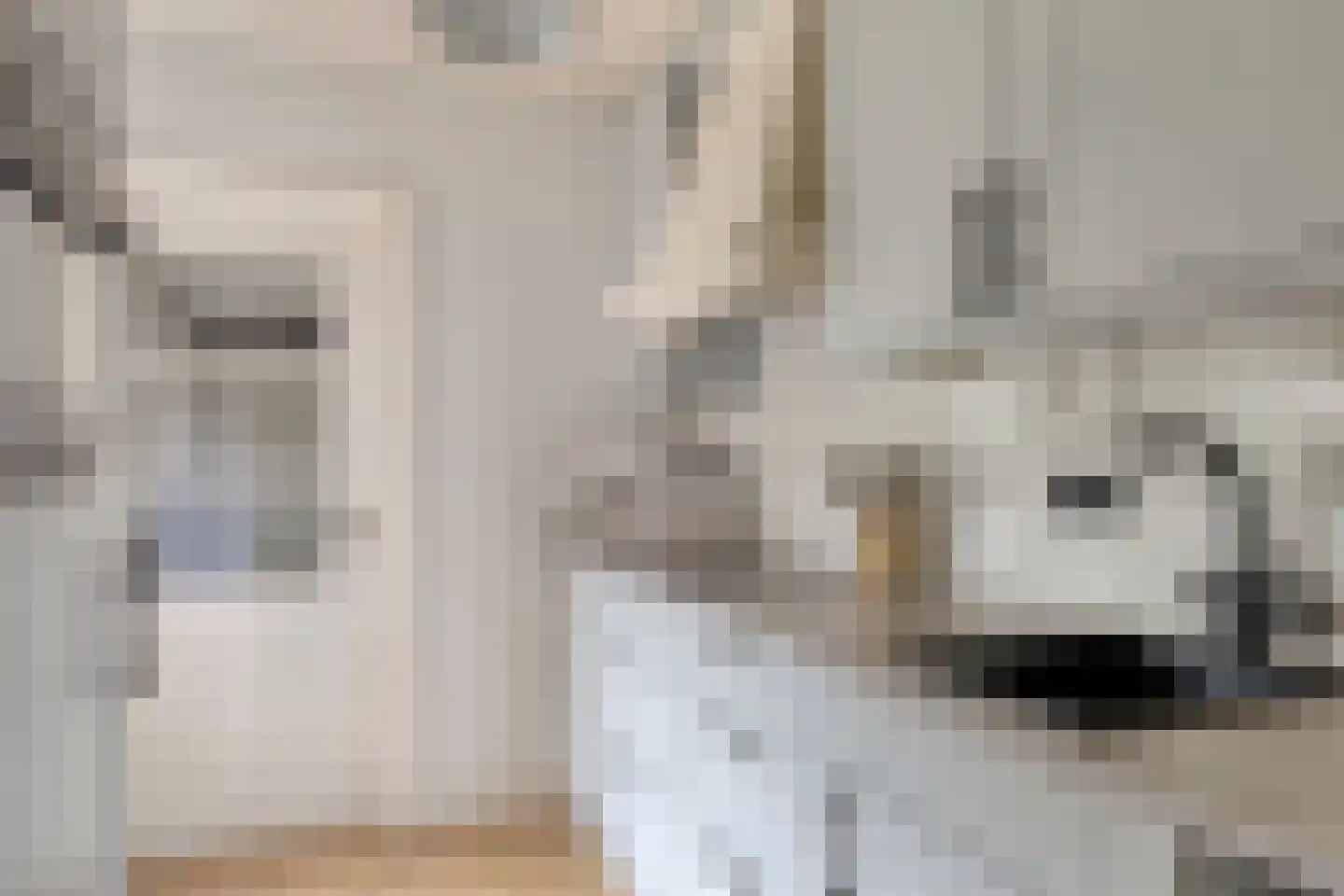 Provincialeweg 44 Krommenie thumbnail 17