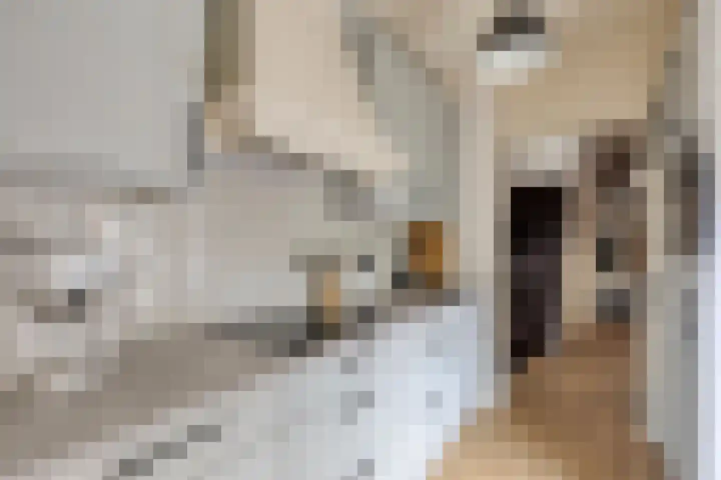 Provincialeweg 44 Krommenie thumbnail 18