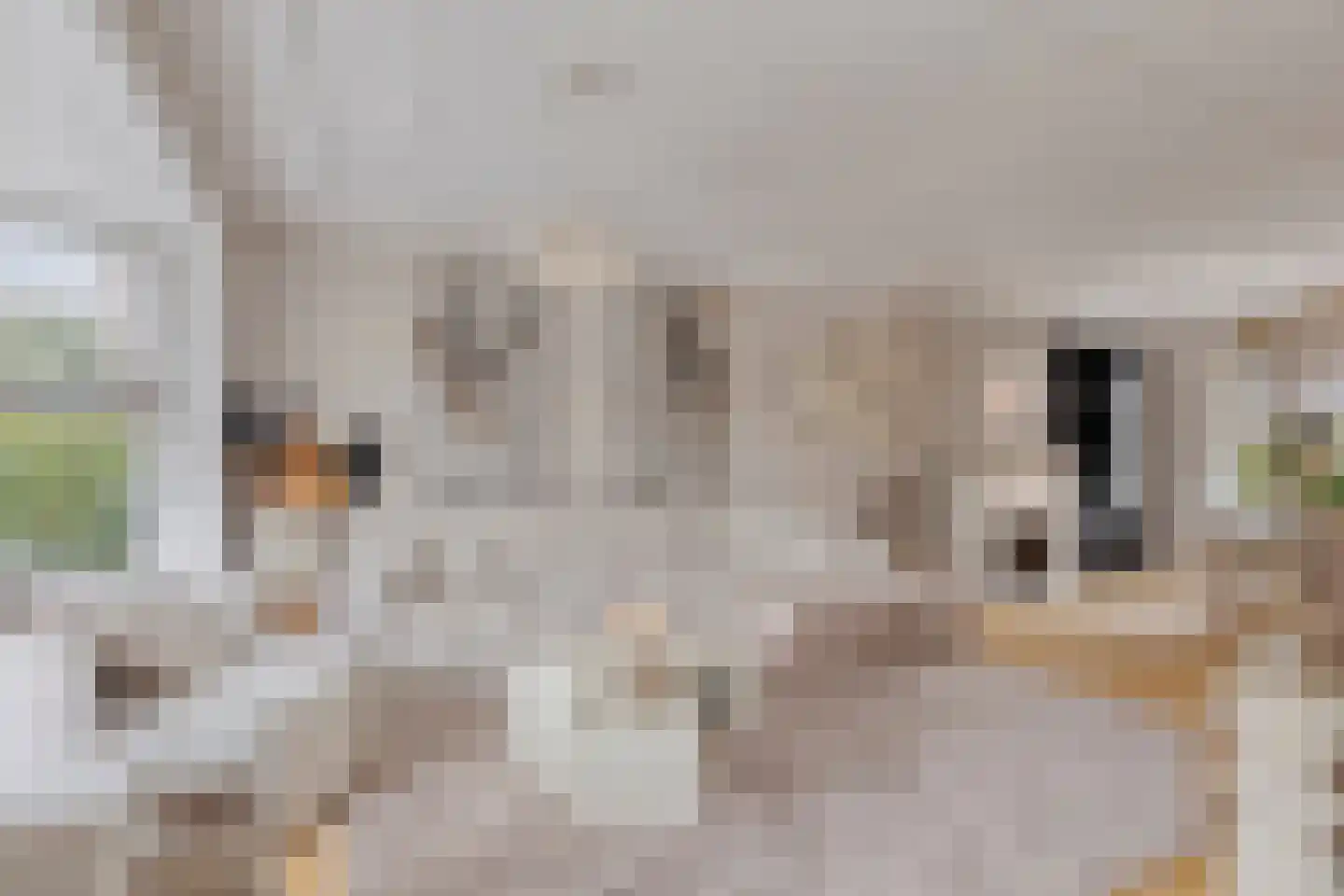 Provincialeweg 44 Krommenie thumbnail 4