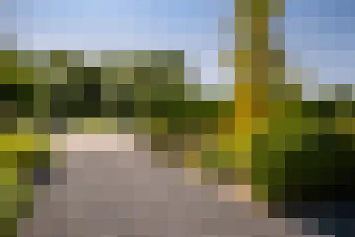 Provincialeweg 44 Sint-Maartensdijk thumbnail 42
