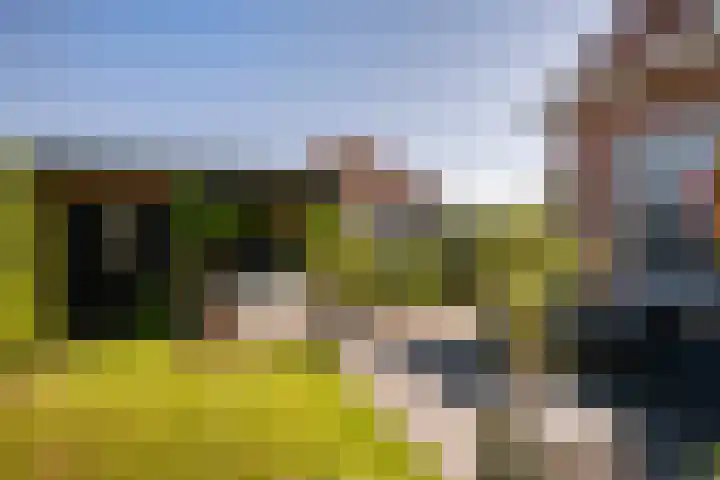 Provincialeweg 44 Sint-Maartensdijk thumbnail 47