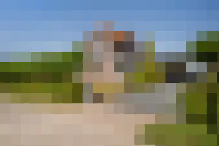 Provincialeweg 44 Sint-Maartensdijk thumbnail 7