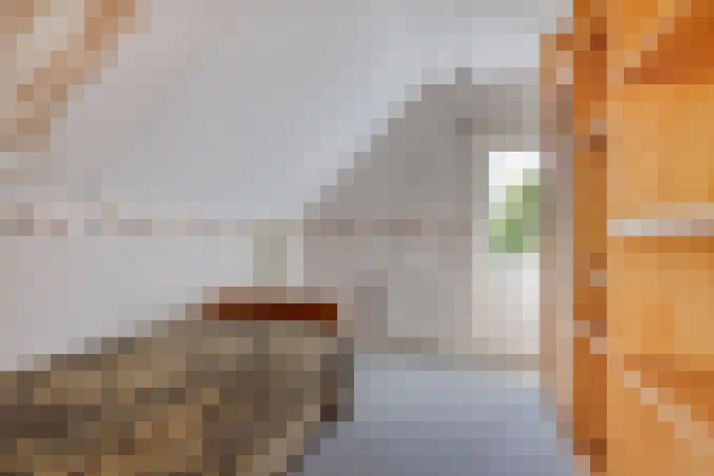 Provincialeweg 47 Ingen thumbnail 28