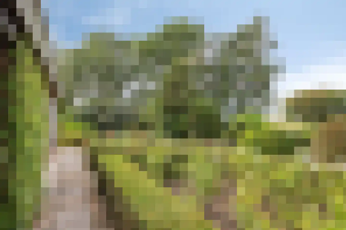 Provincialeweg 47 Ingen thumbnail 39