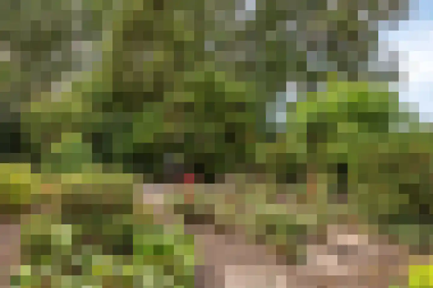 Provincialeweg 47 Ingen thumbnail 41