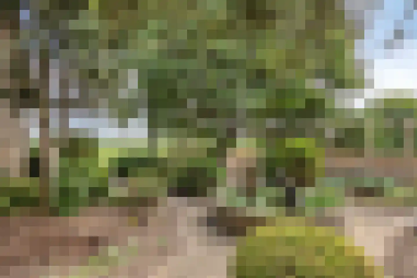 Provincialeweg 47 Ingen thumbnail 43