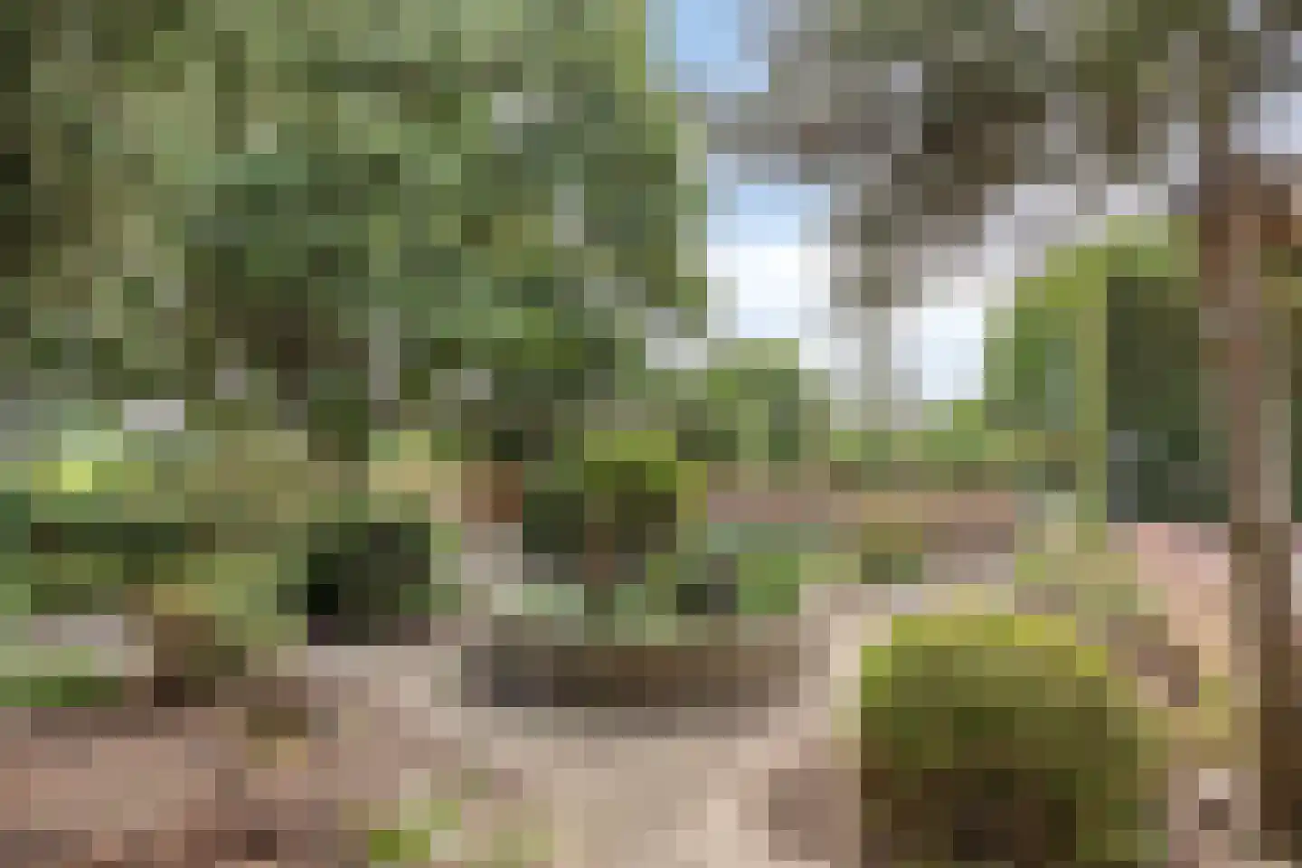 Provincialeweg 47 Ingen thumbnail 44