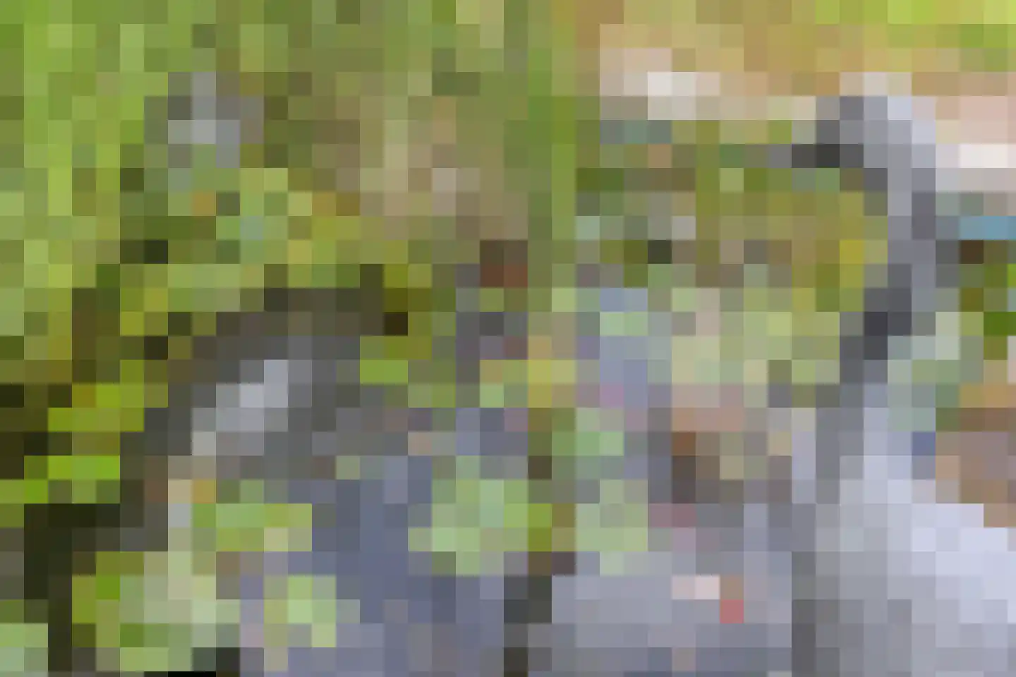 Provincialeweg 47 Ingen thumbnail 45