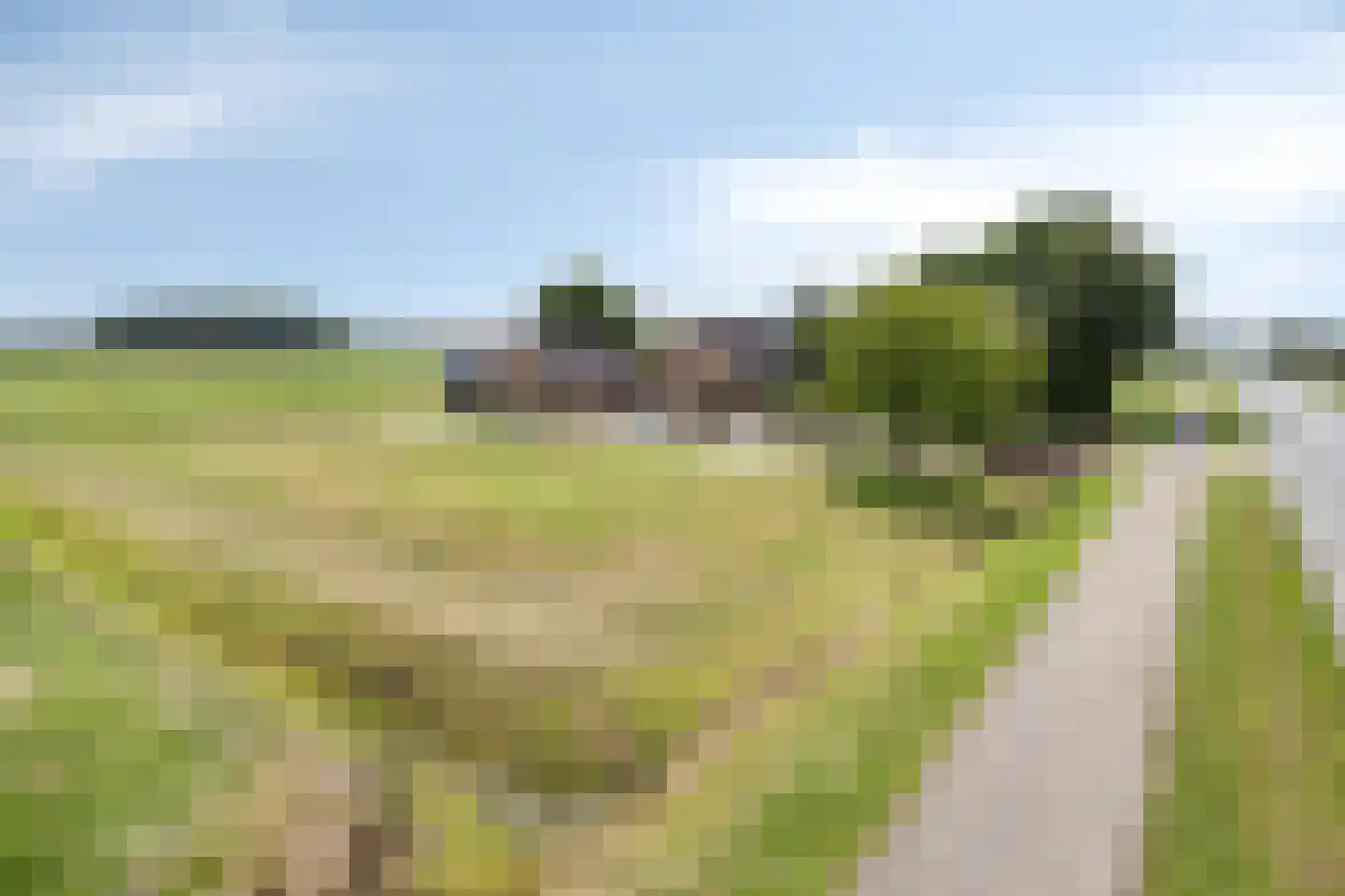 Provincialeweg 47 Ingen thumbnail 59