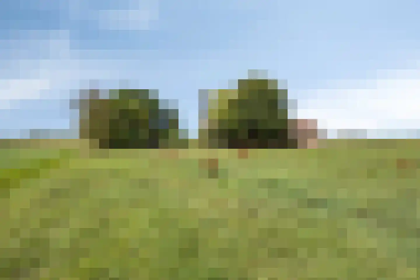 Provincialeweg 47 Ingen thumbnail 60