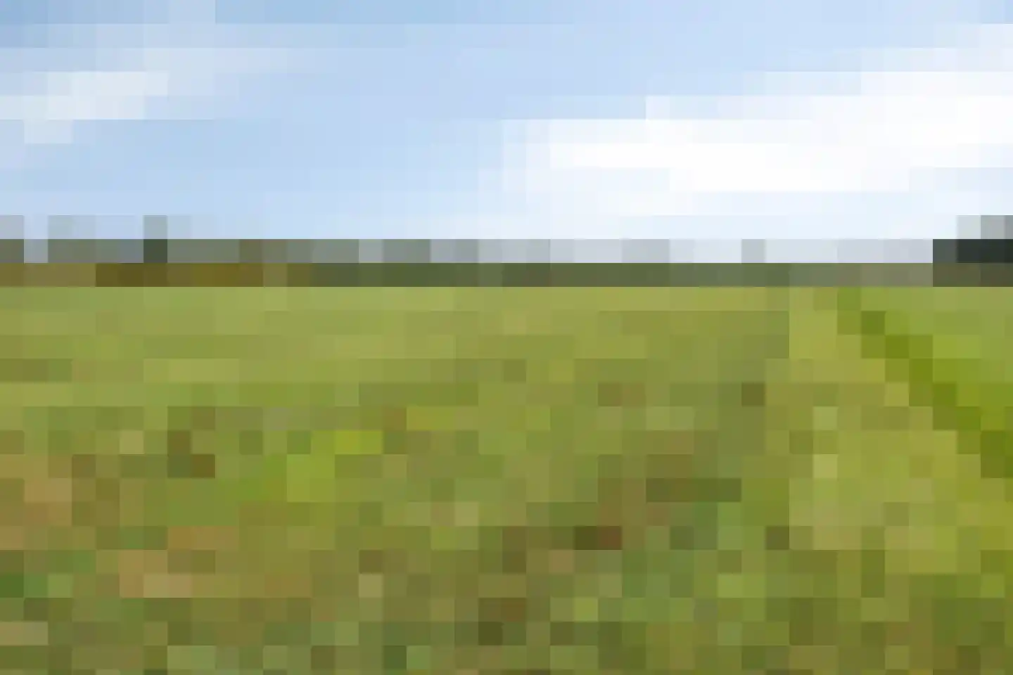 Provincialeweg 47 Ingen thumbnail 64