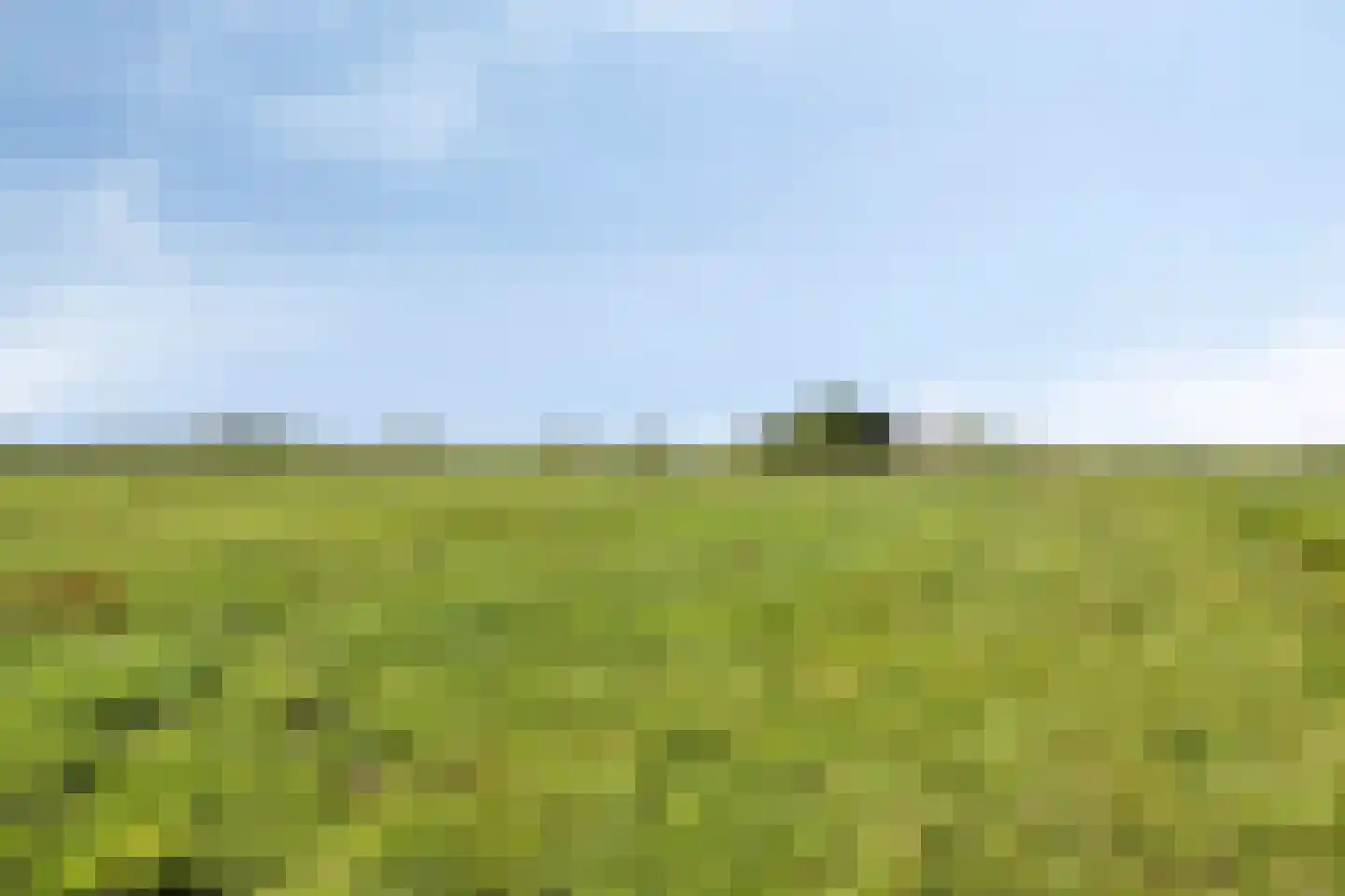 Provincialeweg 47 Ingen thumbnail 65