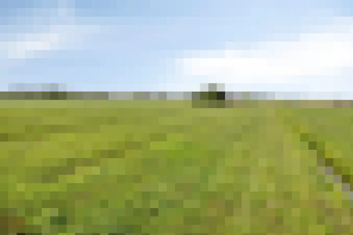 Provincialeweg 47 Ingen thumbnail 66