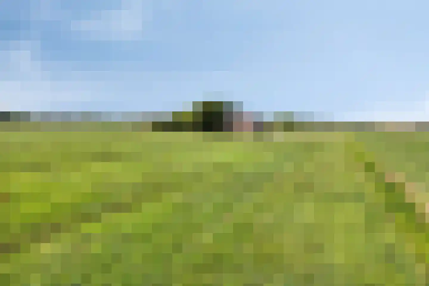 Provincialeweg 47 Ingen thumbnail 69