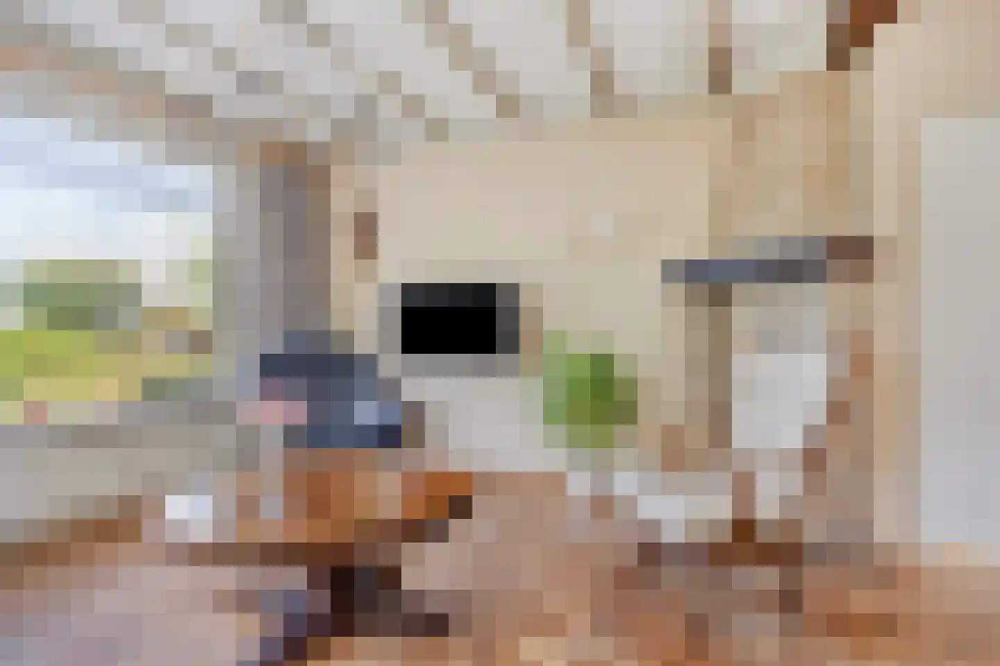 Provincialeweg 47 Ingen thumbnail 7