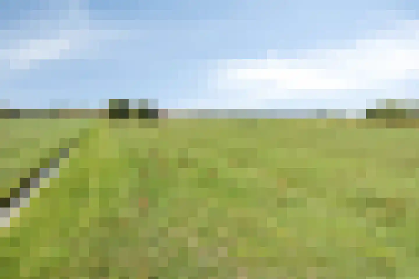 Provincialeweg 47 Ingen thumbnail 70