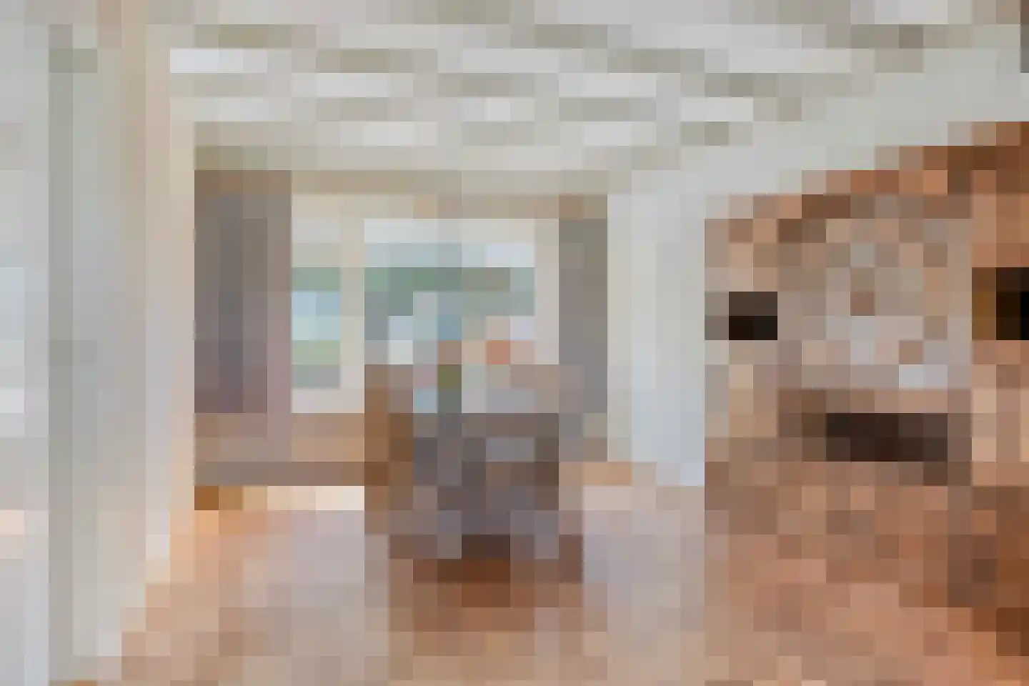 Provincialeweg 47 Ingen thumbnail 8