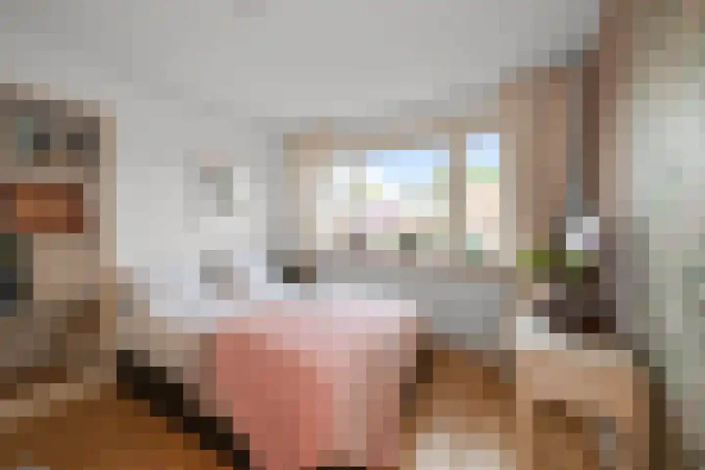 Provincialeweg 48 Krommenie thumbnail 33