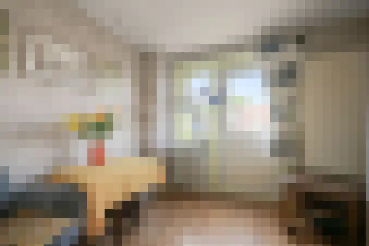 Provincialeweg 48 Krommenie thumbnail 37