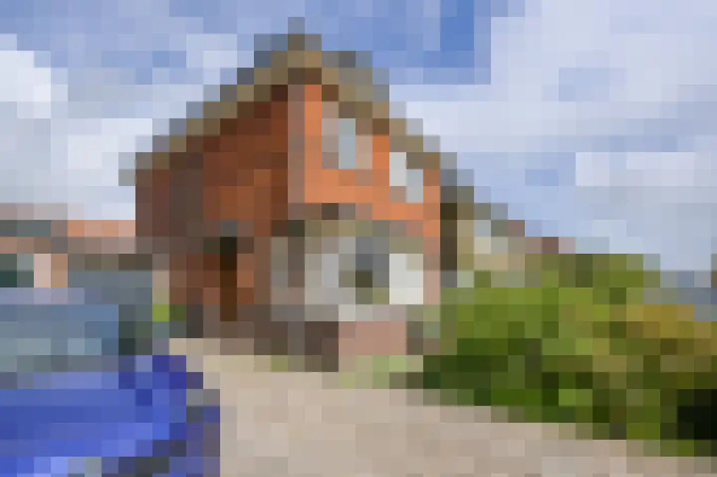 Provincialeweg 48 Krommenie thumbnail 52