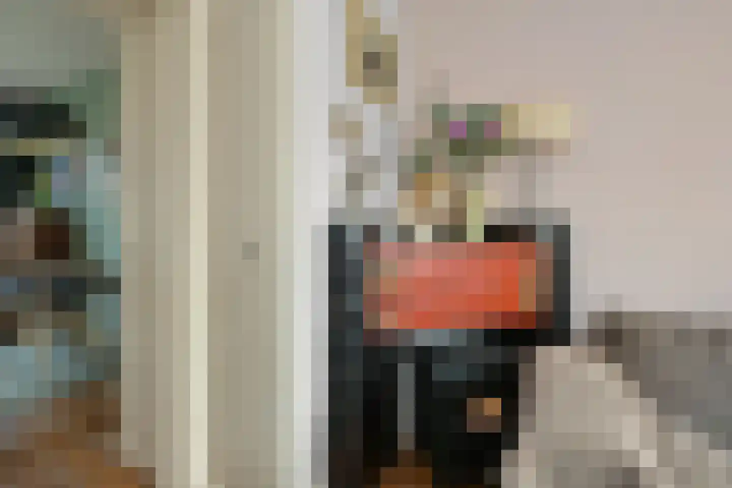 Provincialeweg 48 Krommenie thumbnail 8