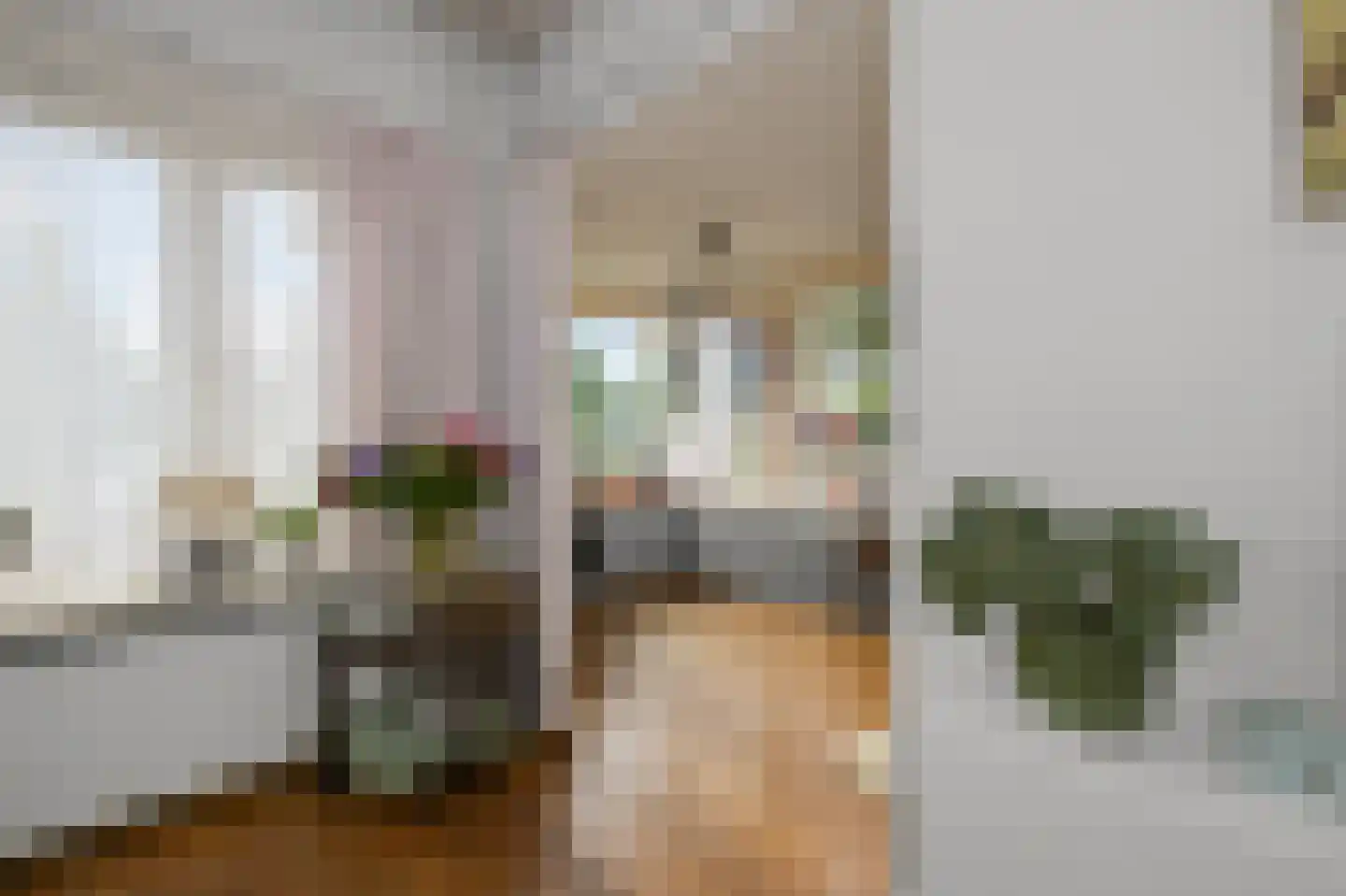 Provincialeweg 48 Krommenie thumbnail 9