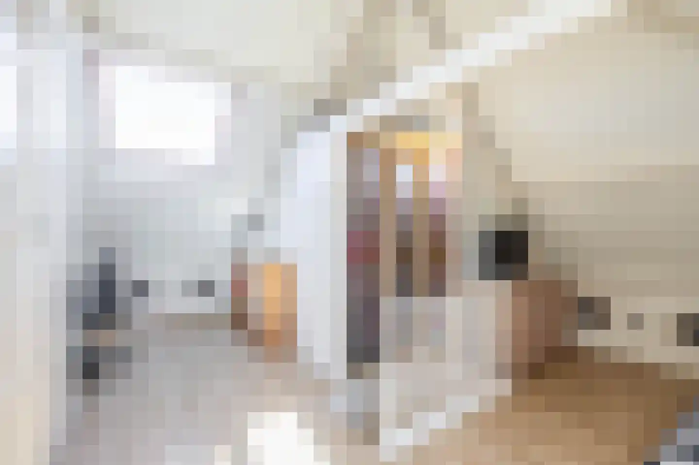 Provincialeweg 49 Krommenie thumbnail 37