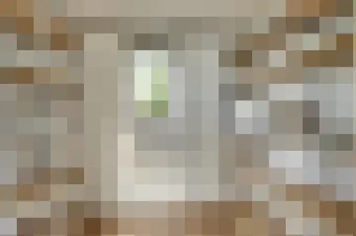 Provincialeweg 5 B 119 Oudkarspel thumbnail 14